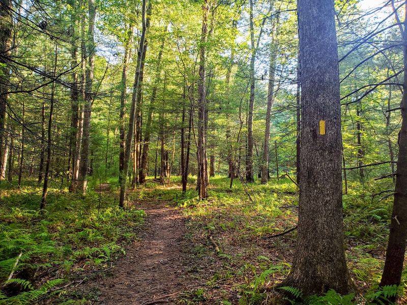 Pine Grove Furnace State Park, Gardners, Pennsylvania