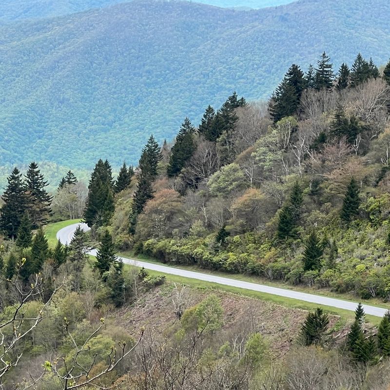 Plan for Legal Parking and Changing Parkway Conditions