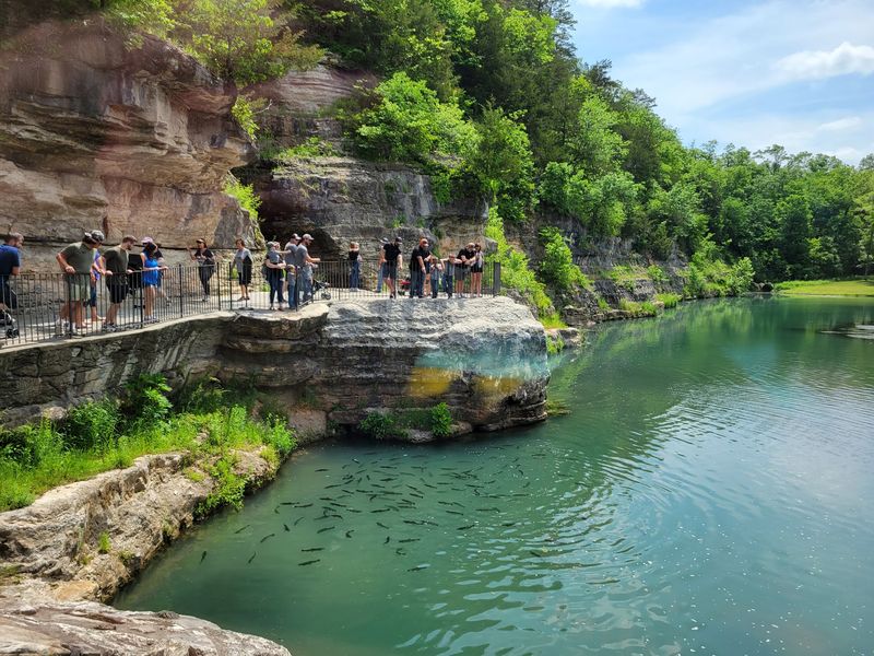 Planning Your Visit: Practical Tips Before You Go