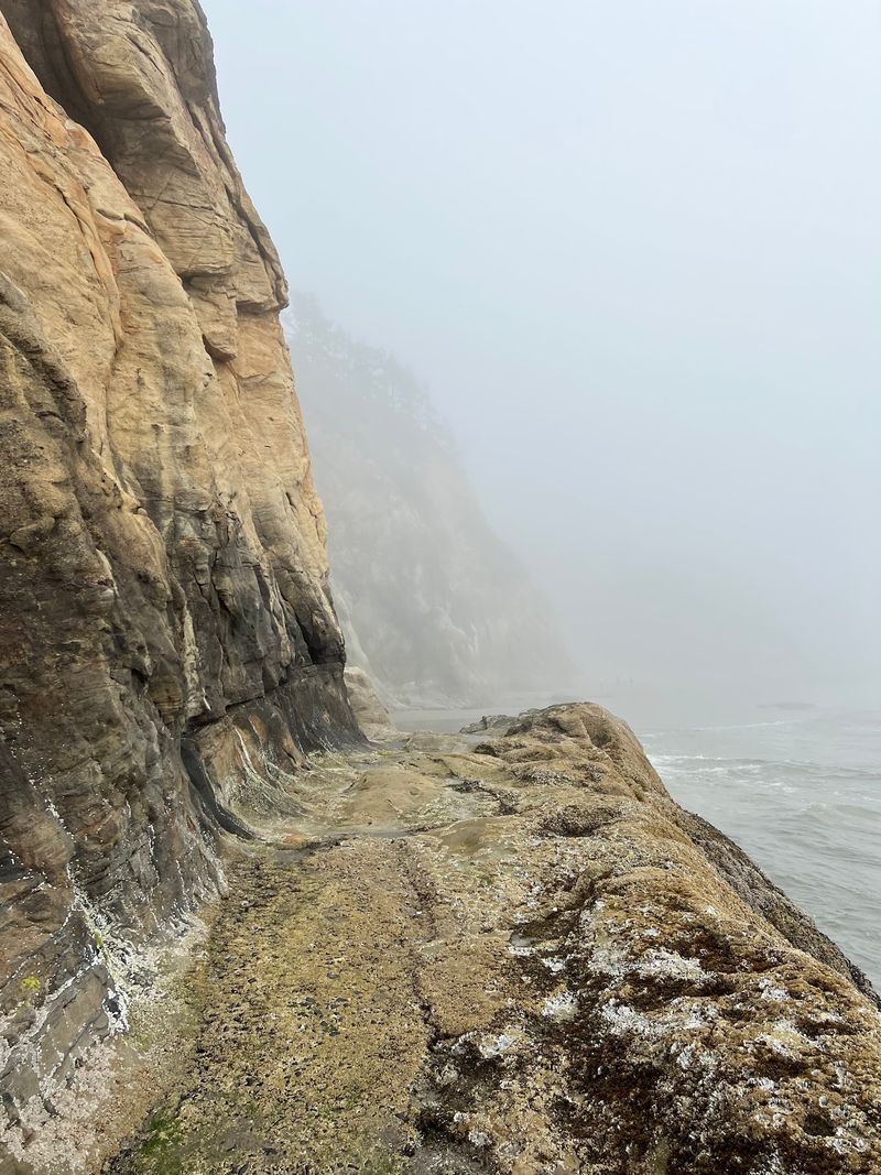 Planning Your Visit: Practical Tips for Getting the Most Out of Hug Point
