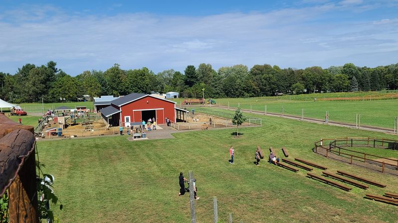 Planning Your Visit: Practical Tips for Getting the Most Out of the Farm Planning Your Visit: Practical Tips for Getting the Most Out of the Farm