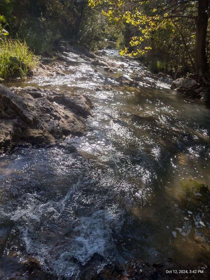 Planning Your Visit to Blue River Planning Your Visit to Blue River