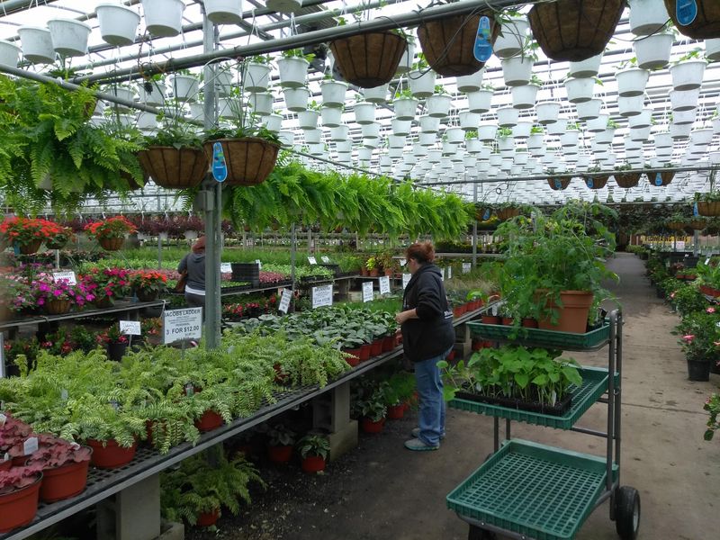 Plant Choices That Can Turn a List Into a Cart Problem Plant Choices That Can Turn a List Into a Cart Problem