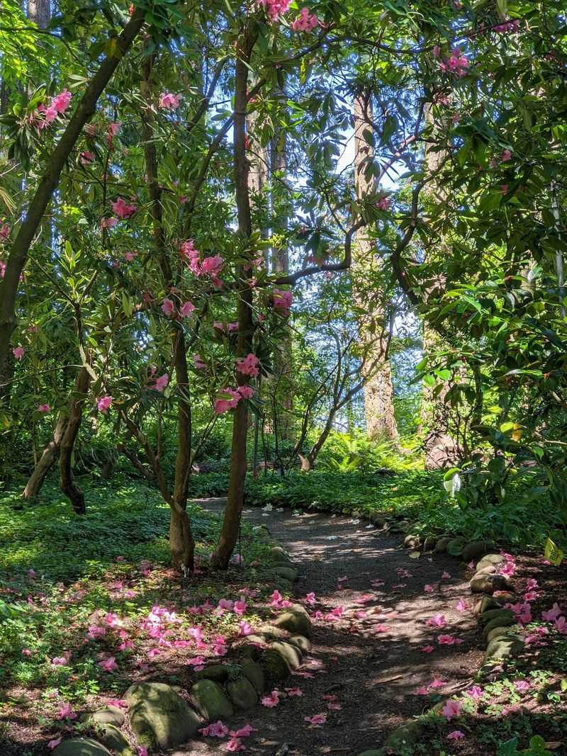 Plant Collections That Change With Every Season Plant Collections That Change With Every Season