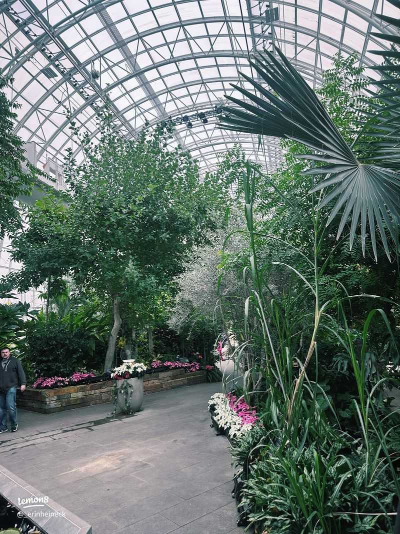Plants Turn Every Hole Into Part of the Scenery