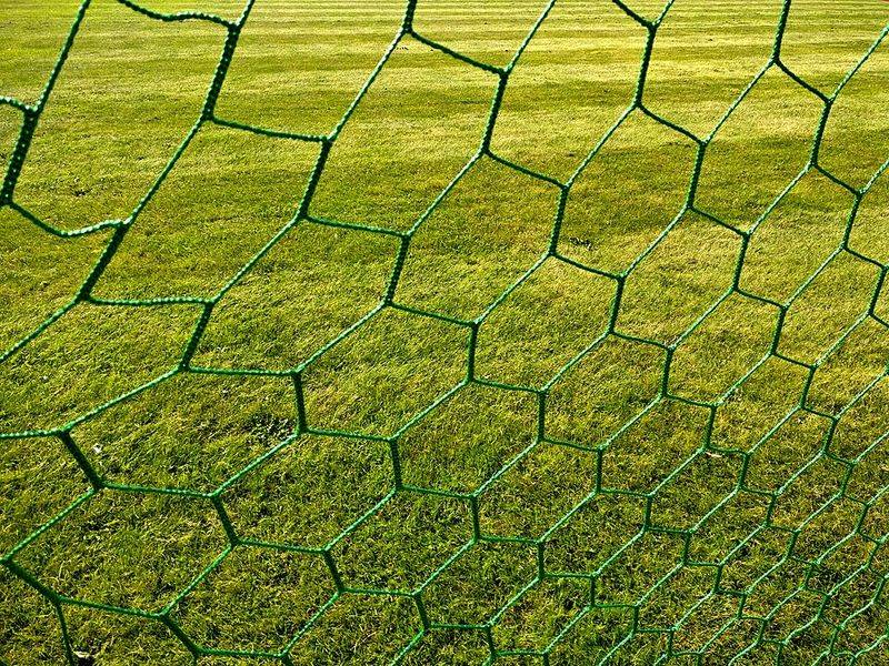 Players Cutting Pieces from the Goal Net After Winning the Final Players Cutting Pieces from the Goal Net After Winning the Final