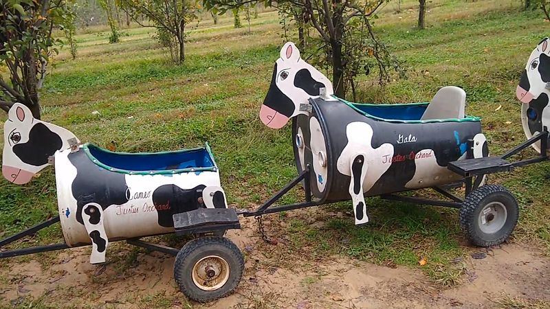 Playgrounds, Wagon Rides, and an Apple Cannon Playgrounds, Wagon Rides, and an Apple Cannon