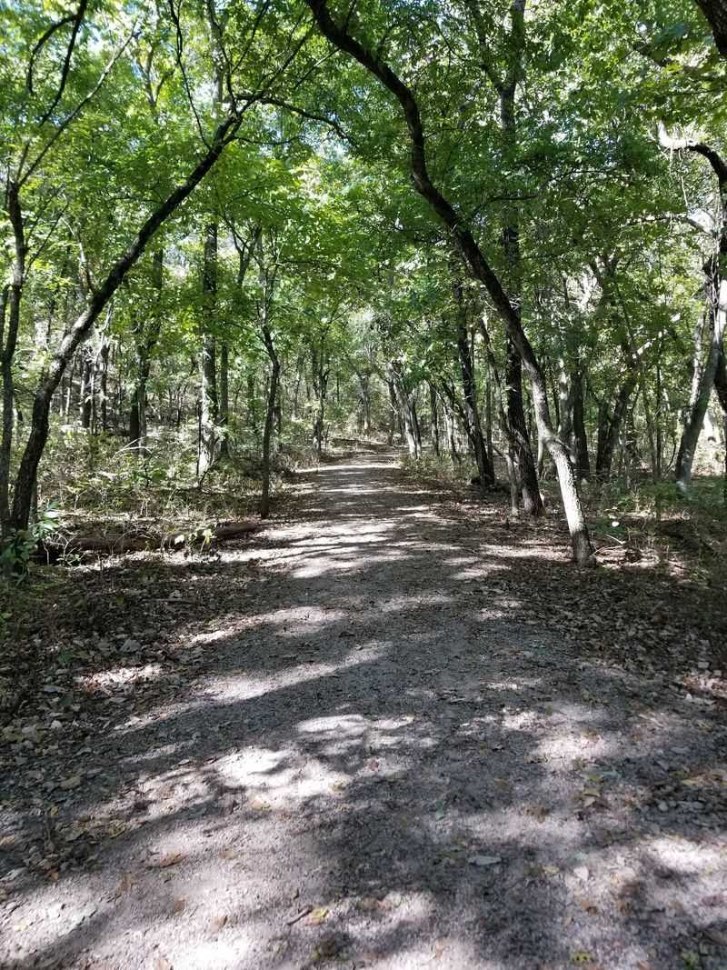 Poison Ivy and Trail Safety