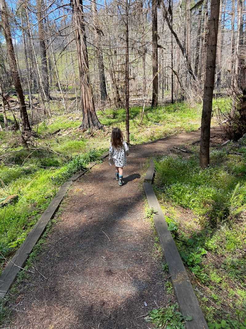 Poison Oak Alert: The One Thing You Must Know Before You Go