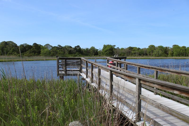 Ponds, Swans, And Observation Decks Ponds, Swans, And Observation Decks