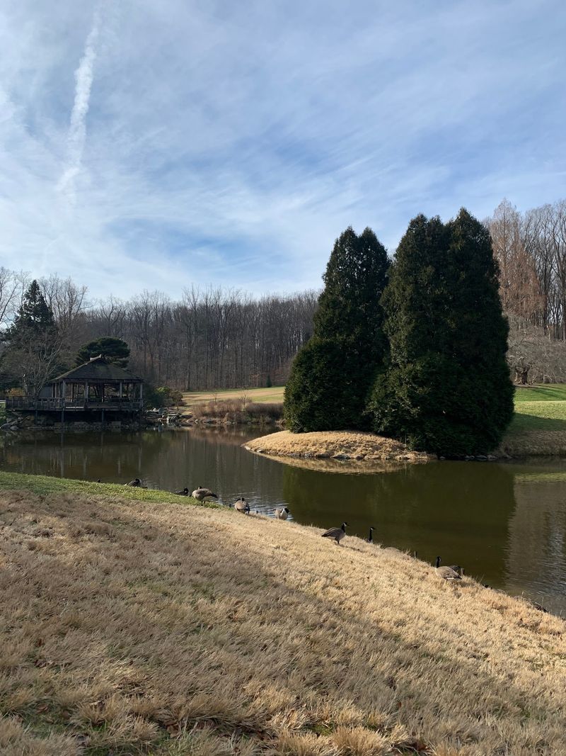 Ponds, Turtles, and the Wildlife Living Here Ponds, Turtles, and the Wildlife Living Here