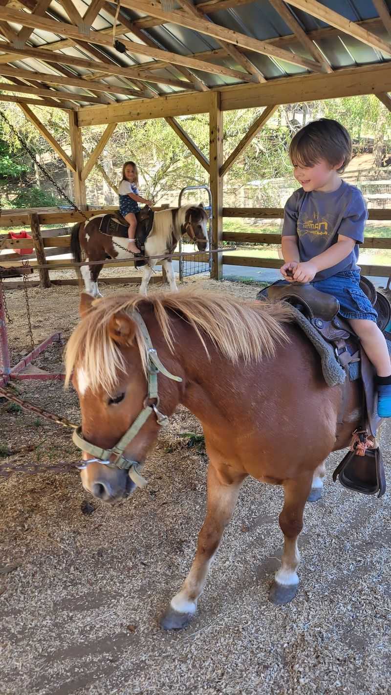 Pony Rides, Playground, and Family Fun Pony Rides, Playground, and Family Fun