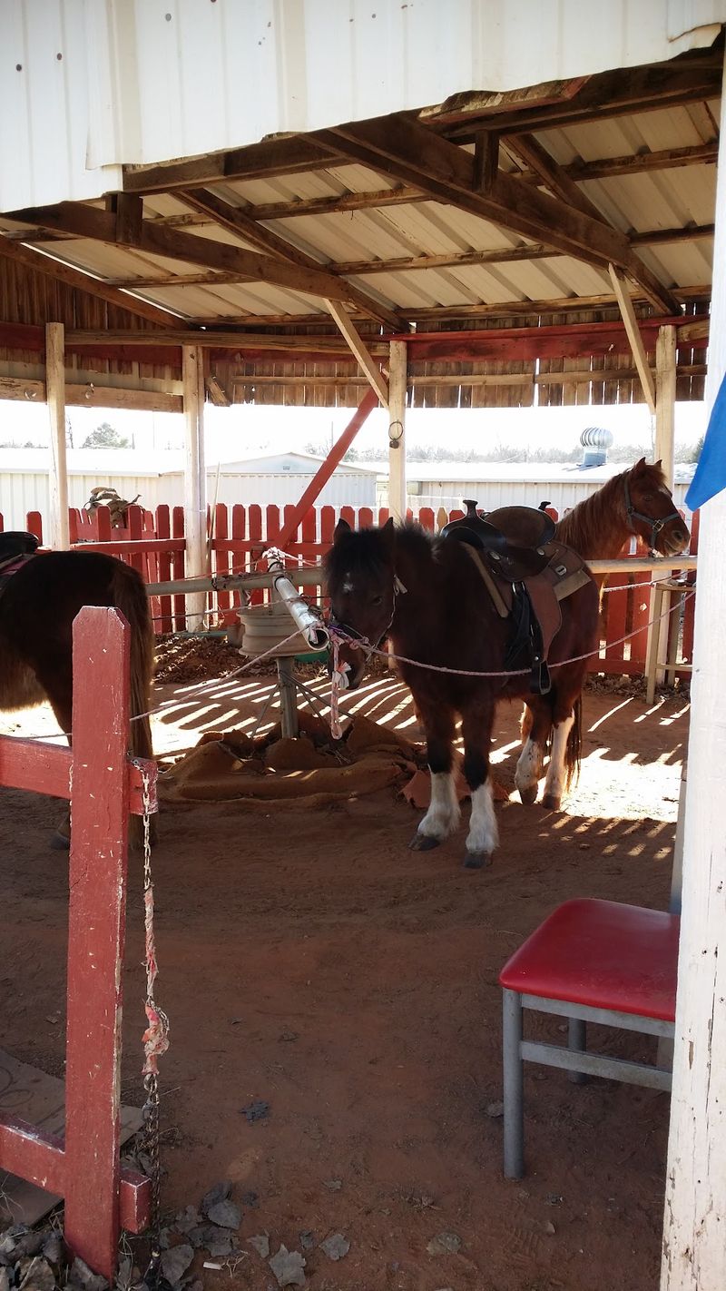 Pony Rides and Family Entertainment Pony Rides and Family Entertainment