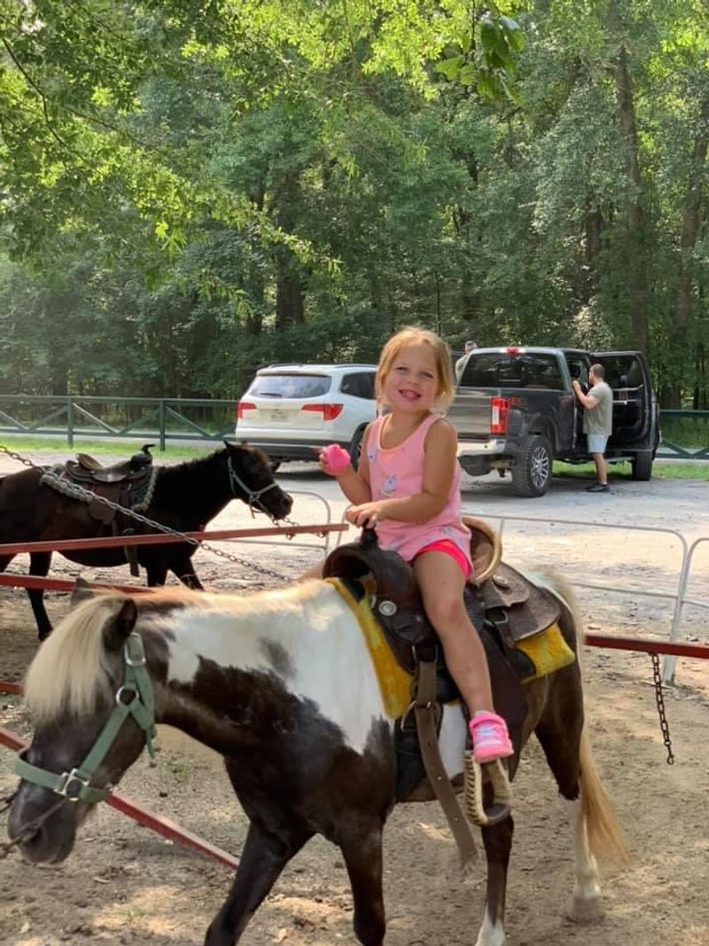 Pony Rides for the Youngest Adventurers Pony Rides for the Youngest Adventurers