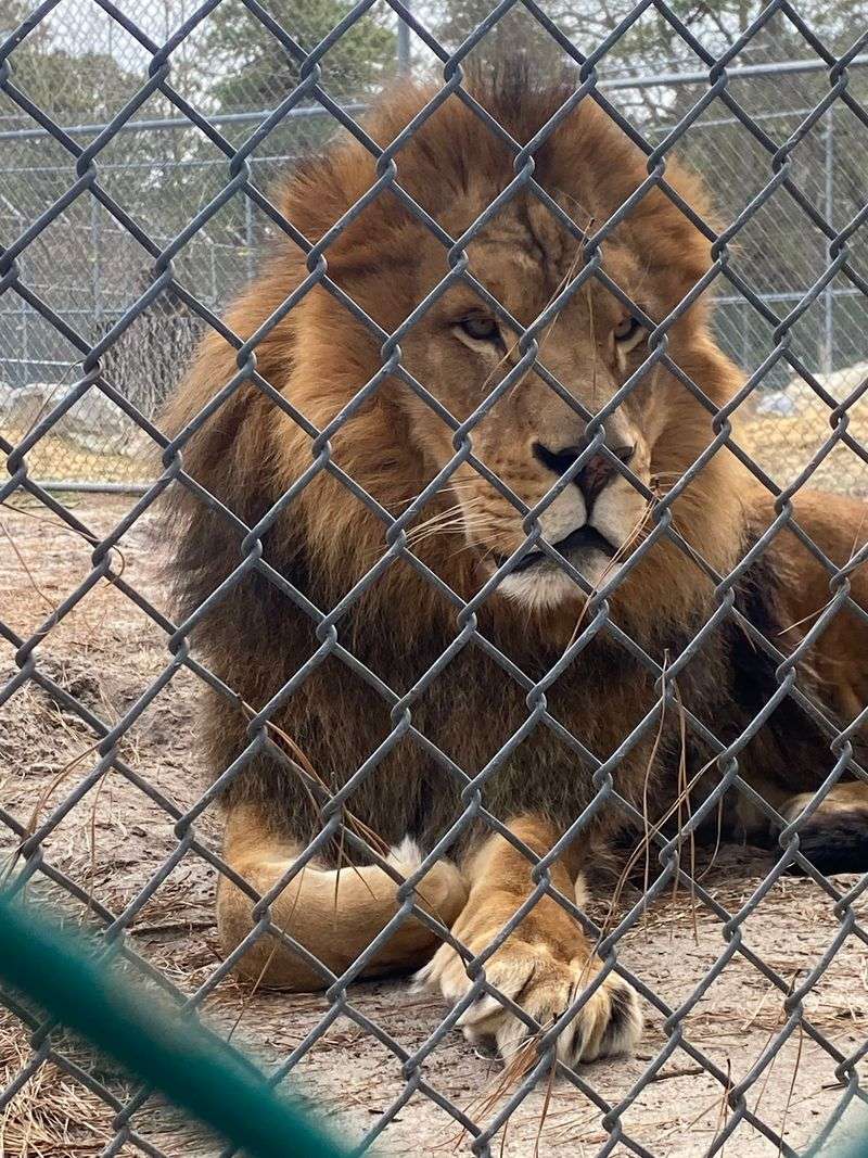 Popcorn Park Animal Refuge, Forked River, NJ Popcorn Park Animal Refuge, Forked River, NJ