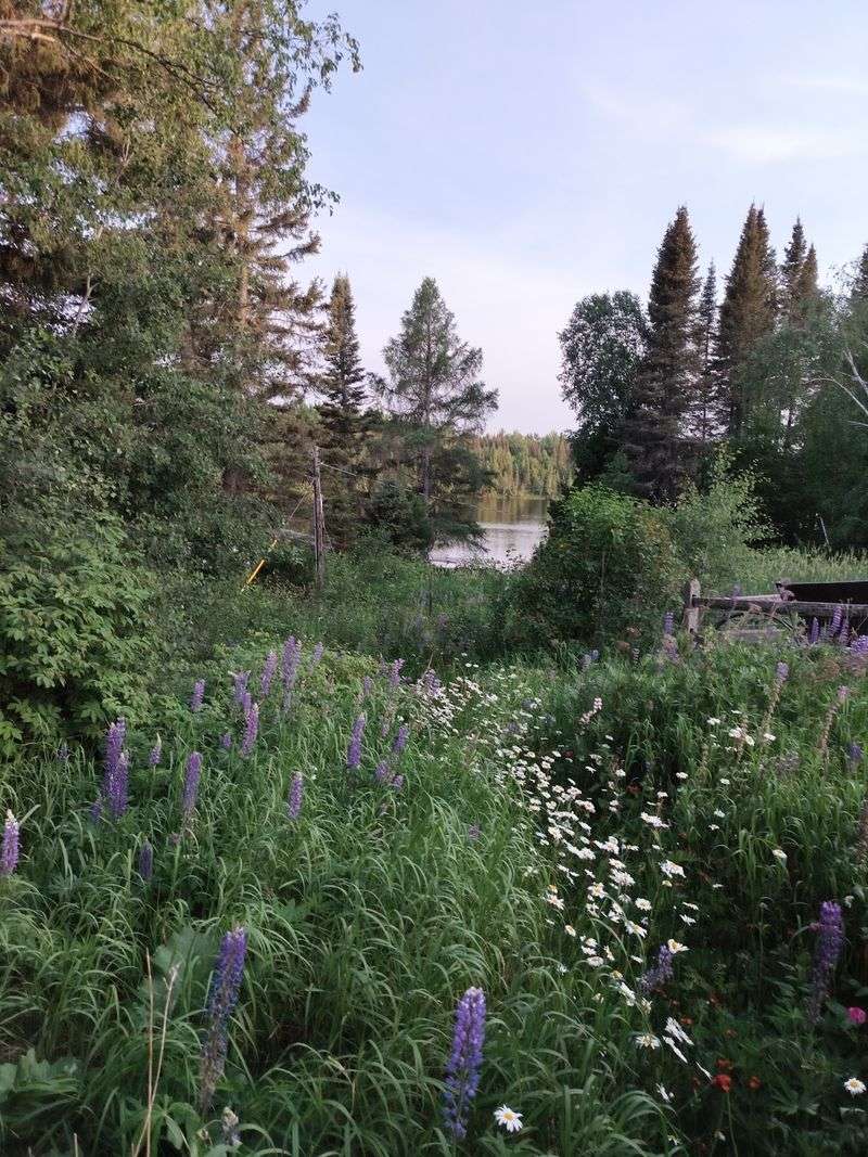 Poplar Lake as the View from Your Table Poplar Lake as the View from Your Table