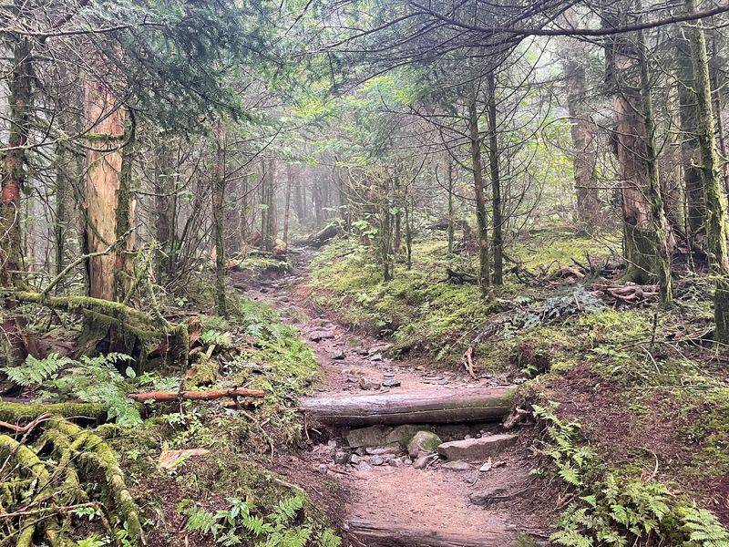 Practical Tips for Hiking Pennsylvania's A.T. Practical Tips for Hiking Pennsylvania's A.T.