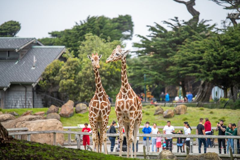 Practical Tips for Making the Most of Your Visit