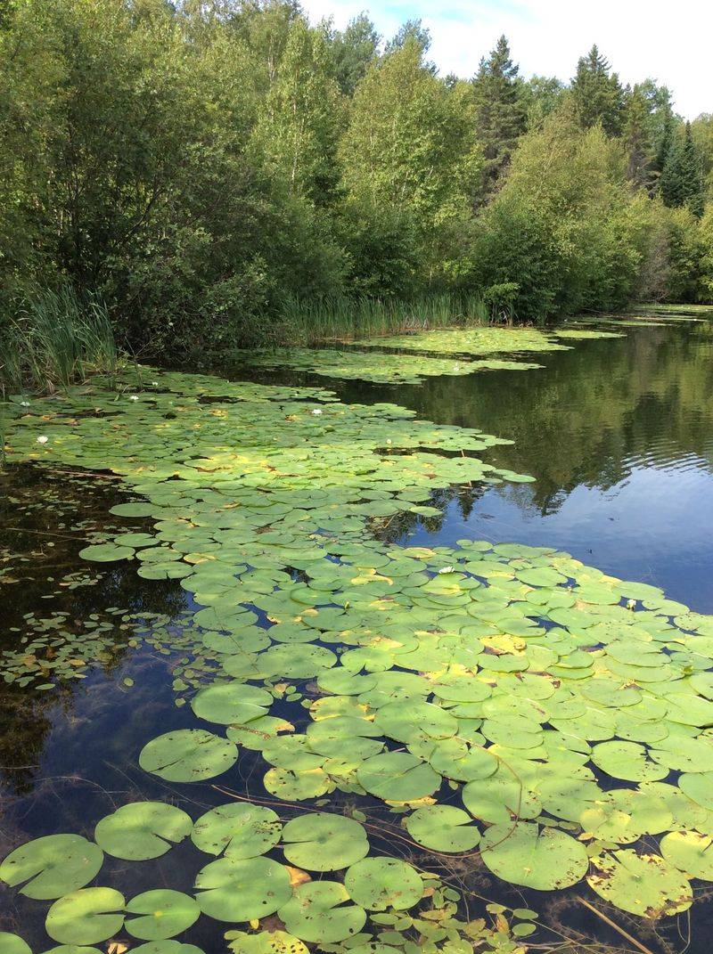 Practical Tips for Planning Your Visit