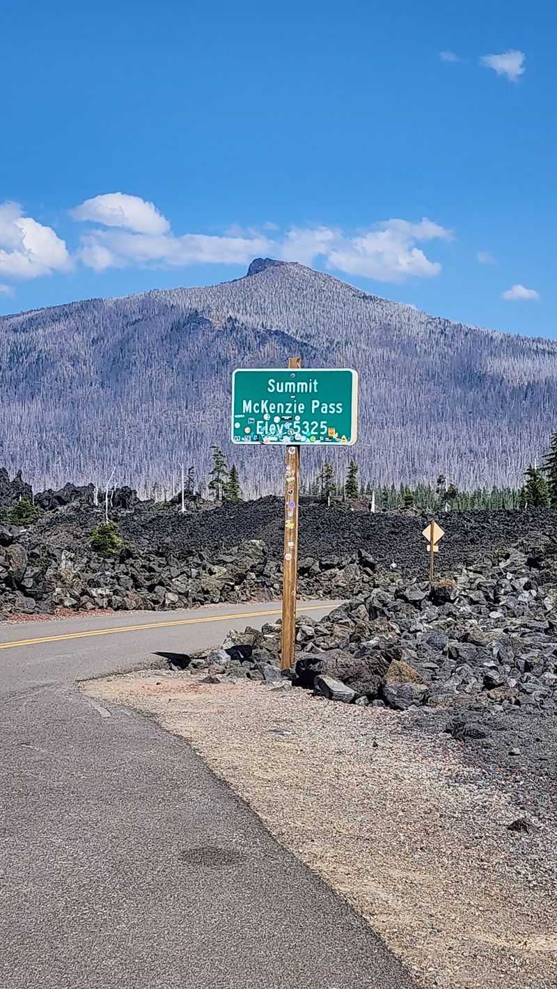 Practical Tips for the Drive Up McKenzie Pass Practical Tips for the Drive Up McKenzie Pass