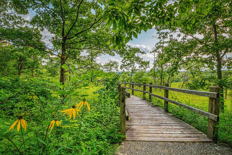 Practical Tips to Make the Most of Your Visit Practical Tips to Make the Most of Your Visit