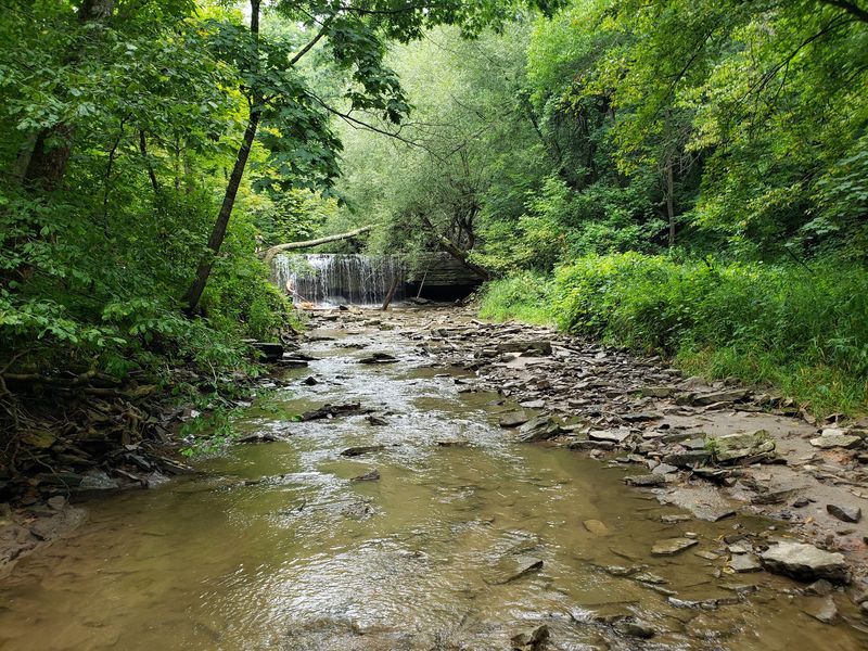 Prairie Creek and the Geology Beneath Your Feet Prairie Creek and the Geology Beneath Your Feet