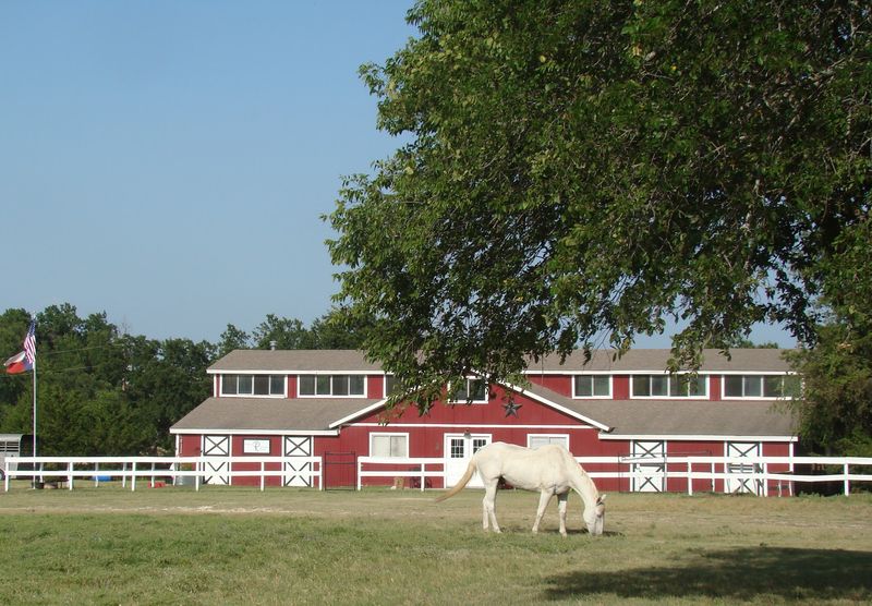 Prairie Paws Farm Sanctuary Prairie Paws Farm Sanctuary