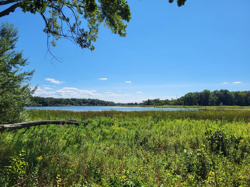 Prairies, Wetlands, and a Landscape Built by Ice Prairies, Wetlands, and a Landscape Built by Ice
