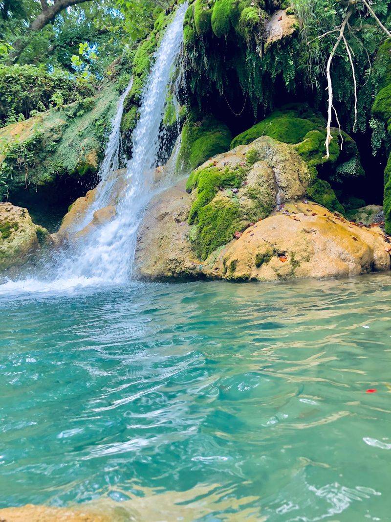 Price Falls Price Falls
