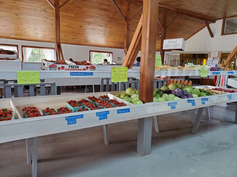 Prices That Ease the Grocery Squeeze Prices That Ease the Grocery Squeeze