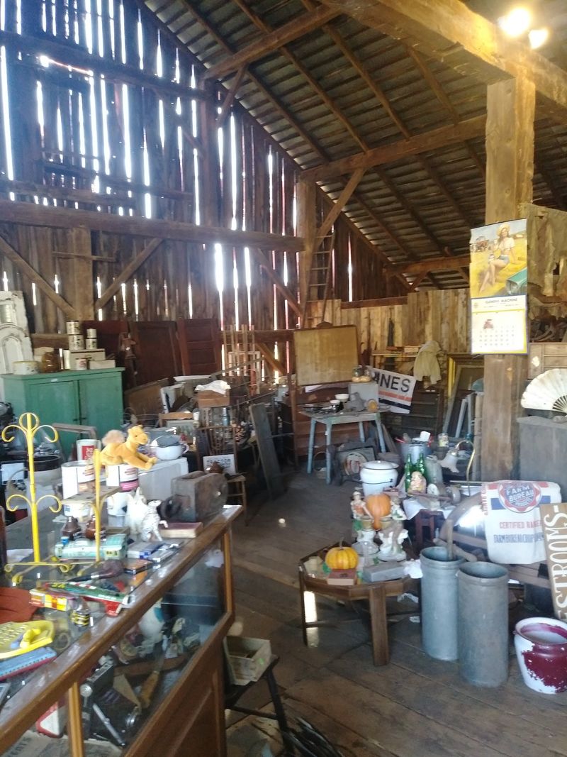 Primitives, Ephemera, and the Joy of Unexpected Finds Primitives, Ephemera, and the Joy of Unexpected Finds