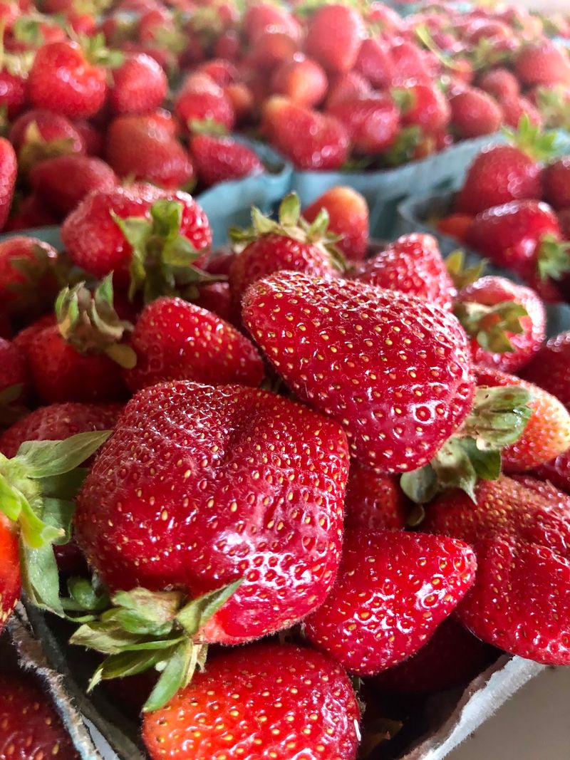 Produce That Outlasts the Grocery Store Produce That Outlasts the Grocery Store