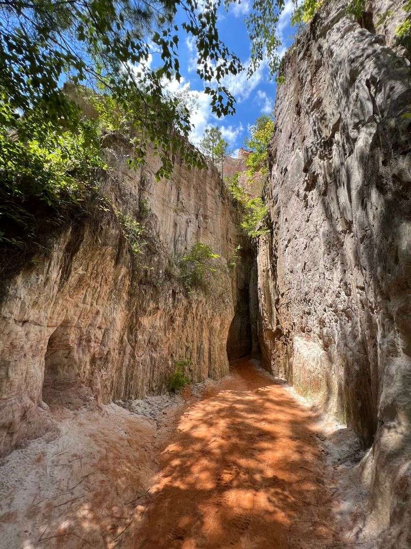 Providence Canyon State Park, Lumpkin Providence Canyon State Park, Lumpkin