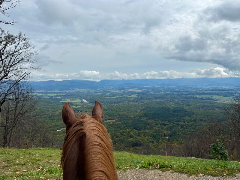 Proximity to Luray and the Surrounding Area Proximity to Luray and the Surrounding Area