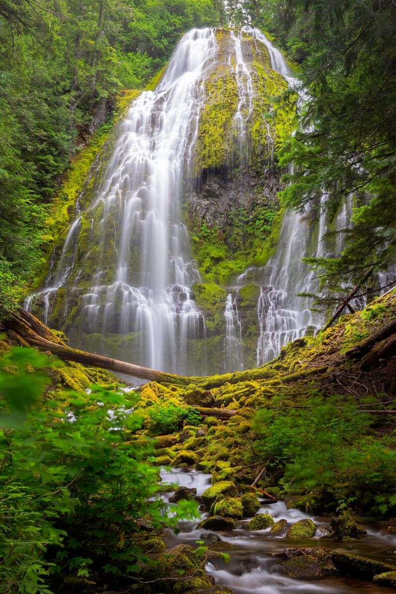 Proxy Falls - Three Sisters Wilderness Proxy Falls - Three Sisters Wilderness