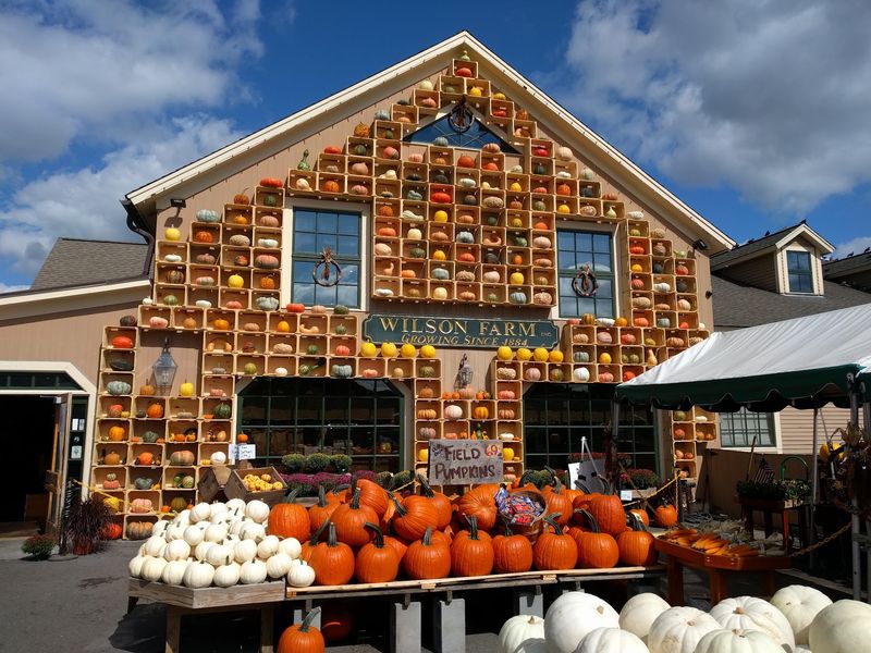 Pumpkin Season Takes Over Pumpkin Season Takes Over
