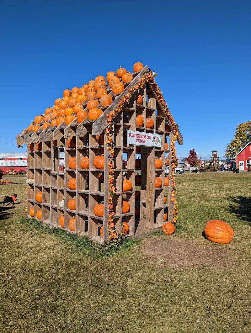 Pumpkin Smashing, Pig Races, and Pure Fall Chaos