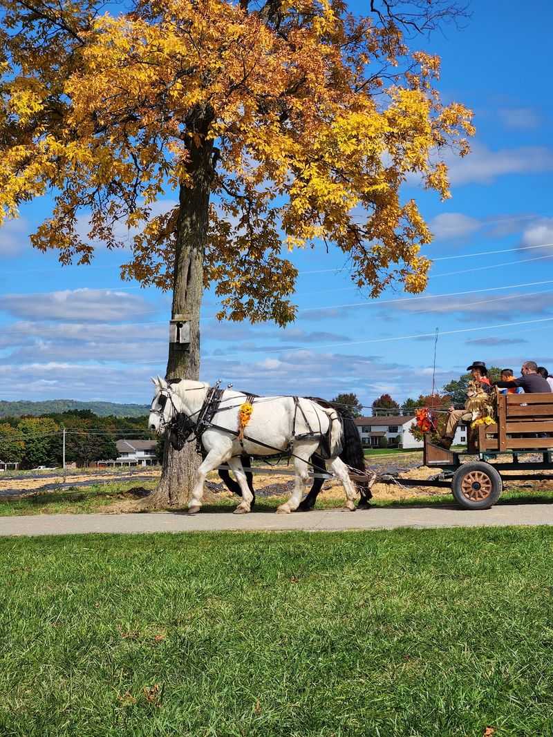 Pumpkins, Hay Rides, And The Fall Crowd Favorite Pumpkins, Hay Rides, And The Fall Crowd Favorite