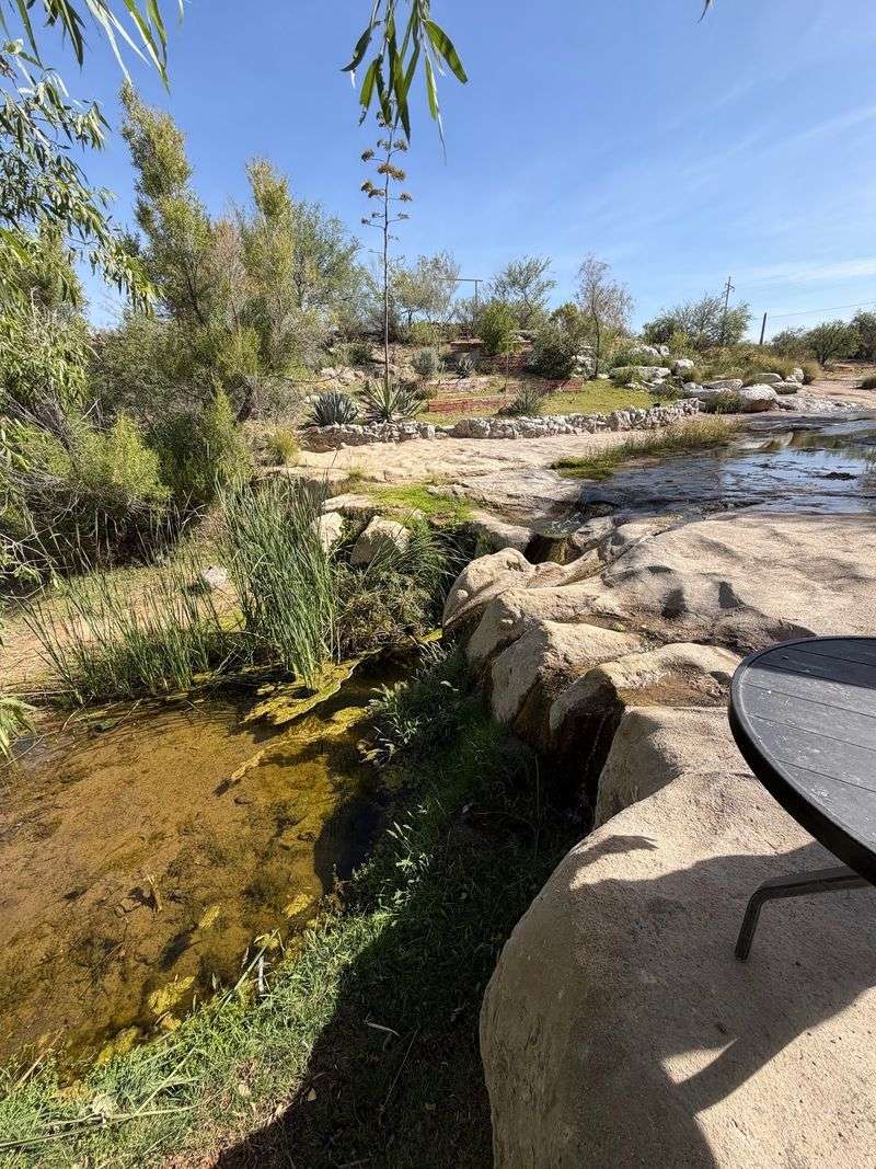 Pup-Friendly Patio and Shady Garden Tables