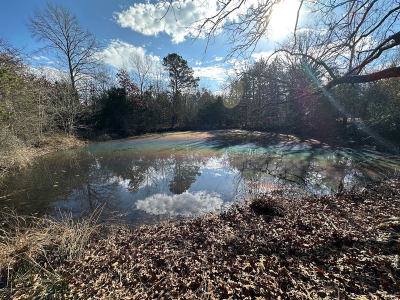 Pushmataha County and Its Wild, Forested Identity Pushmataha County and Its Wild, Forested Identity