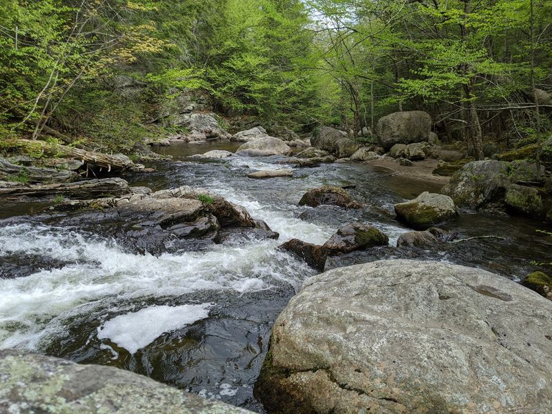 Quiet Mornings By The Stream