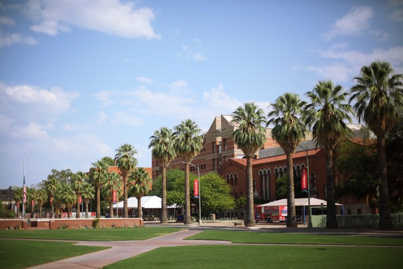 Race Track Industry - University of Arizona Race Track Industry - University of Arizona