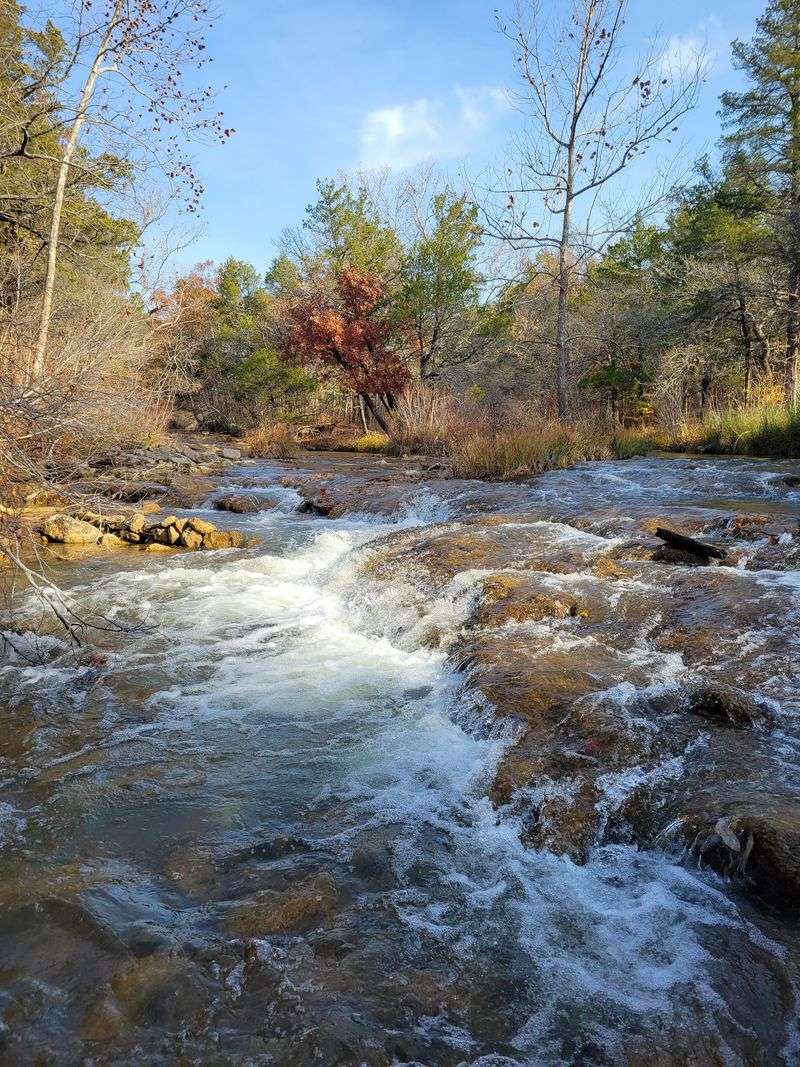 Rainbow Trout in Oklahoma, Seriously Rainbow Trout in Oklahoma, Seriously