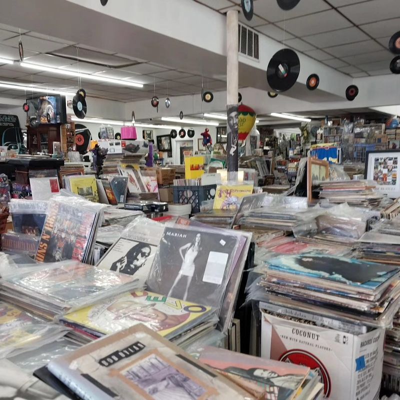 Rare Finds Beside Budget Bins Rare Finds Beside Budget Bins