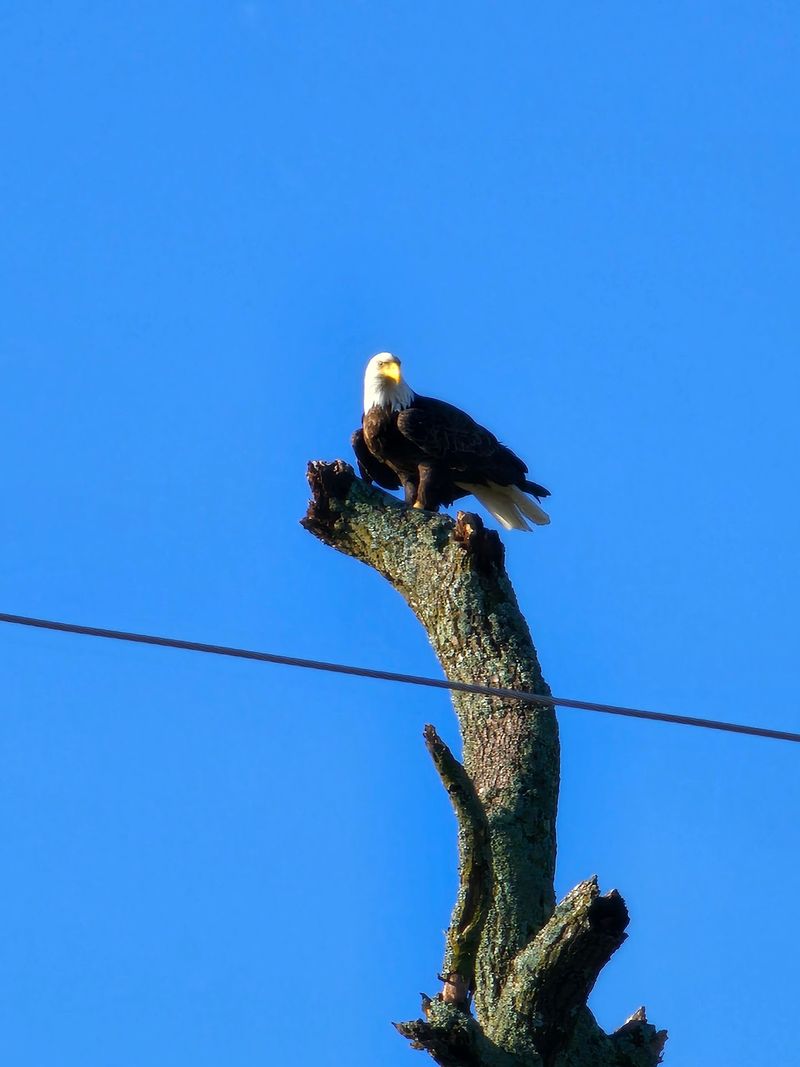 Rare Wildlife and Plants Found Nowhere Else Rare Wildlife and Plants Found Nowhere Else