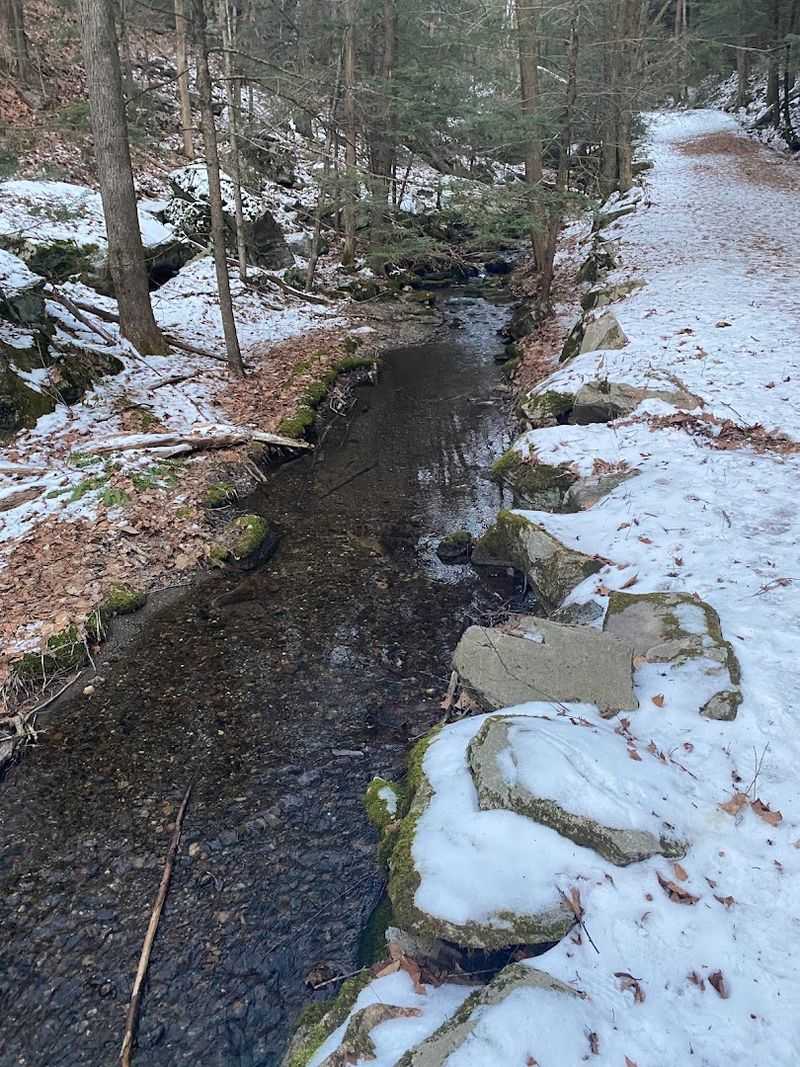Rattlesnake Gutter, Leverett Rattlesnake Gutter, Leverett