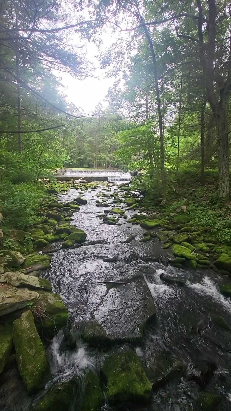 Rauchtown Run and the Heartbeat of the Gorge Rauchtown Run and the Heartbeat of the Gorge