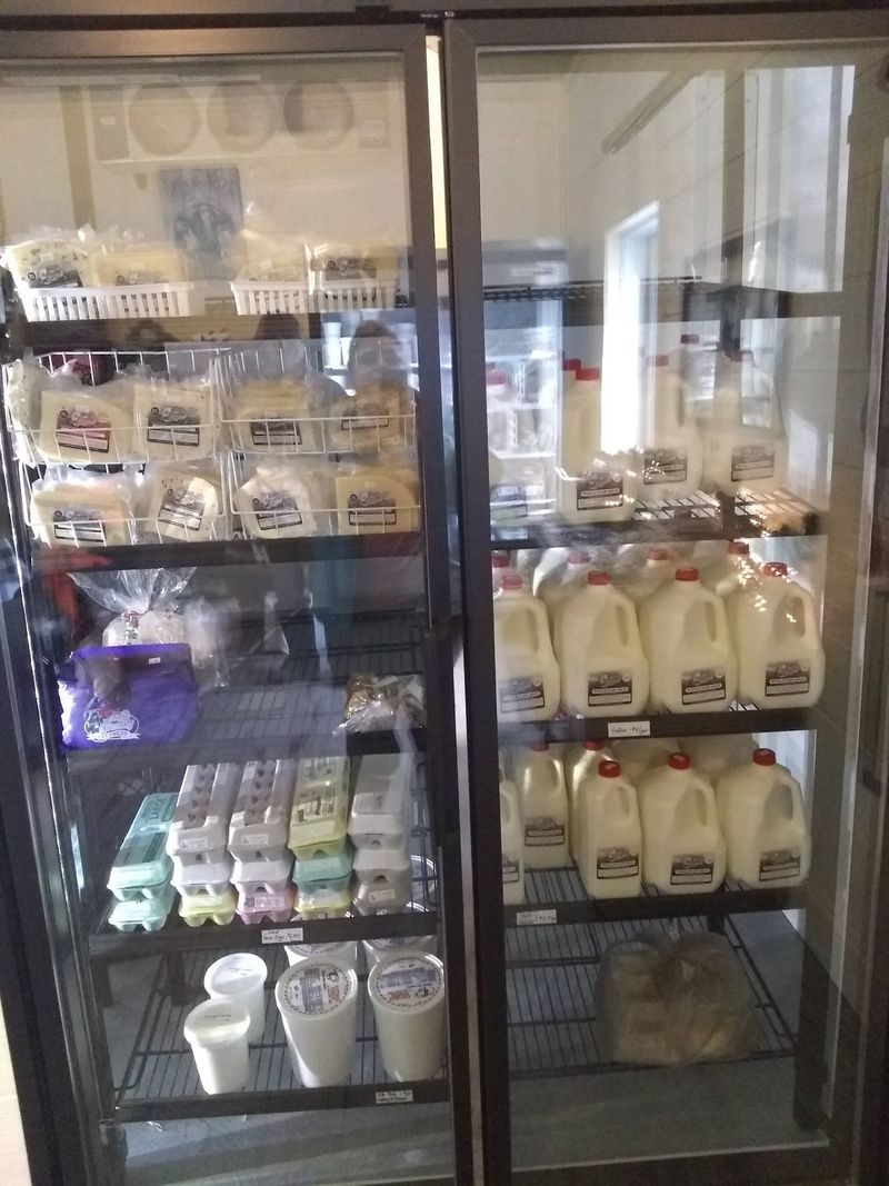 Raw Milk, Cottage Cheese, and Why People Drive Hours for Both