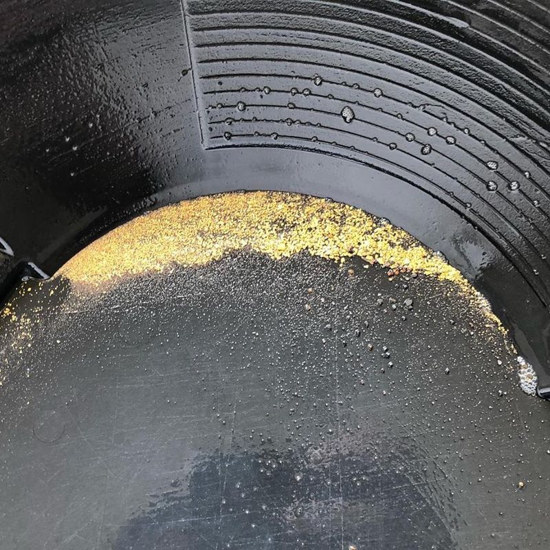 Real Gold in the Water, Not Just a Gimmick Real Gold in the Water, Not Just a Gimmick