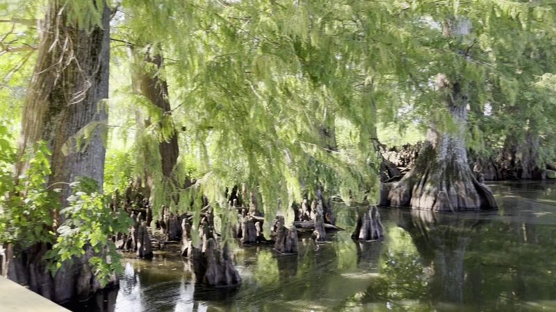 Reelfoot Lake State Park, Tennessee, Tiptonville